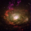 Circinus type 2 Seyfort Spiral Galaxy
