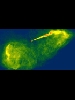 Cosmic Jet in Galaxy M87