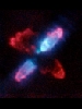 Egg Nebula (NICMOS)