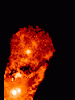 XZ Tauri in the Taurus-Auriga Molecular cloud