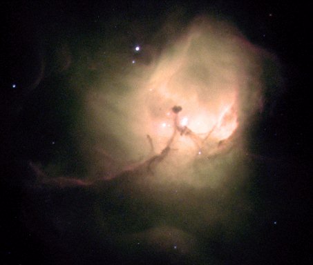 Newborn Star cluster in M81, Small Magellanic Cloud