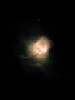 Newborn Star cluster in M81, Small Magellanic Cloud