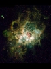 NGC604 Nebula in M33 Galaxy