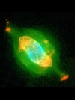 NGC7009