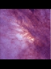 NGC253