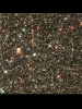 Sagittarius Star Cloud